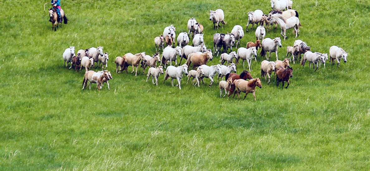 7 Days Hulunbuir Immersion Tour in Northeast Inner Mongolia