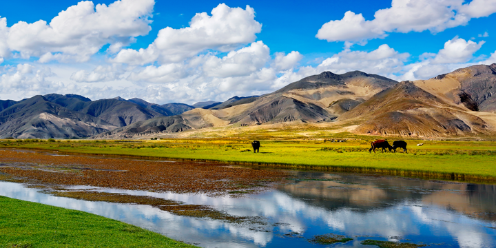 Tibet, Cina