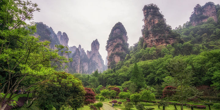 Parco Forestale Nazionale  Zhangjiajie