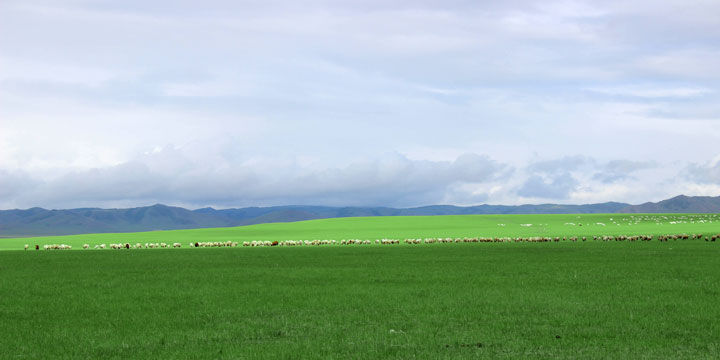 Vista della prateria nella Mongolia Interna