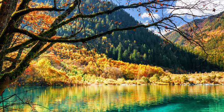 Tour di 15 giorni a Jiuzhaigou e Chengdu Wonderland