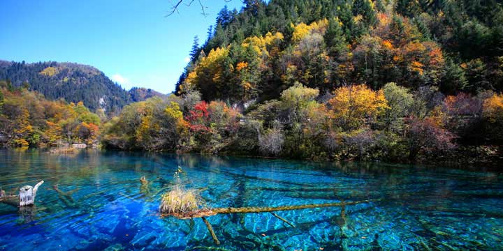 Tour de 8 días por Sichuan