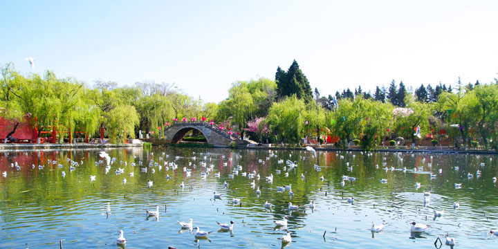 Vista della città di Kunming-Parco del Lago Verde