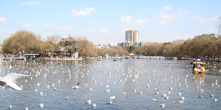 Vista della città di Kunming