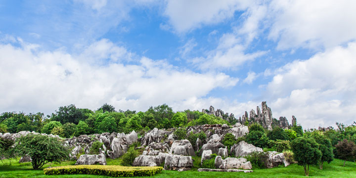 Bosque de piedra