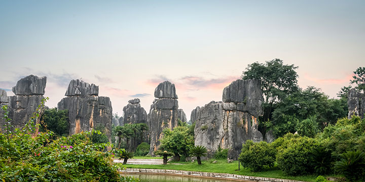 Bosque de piedra
