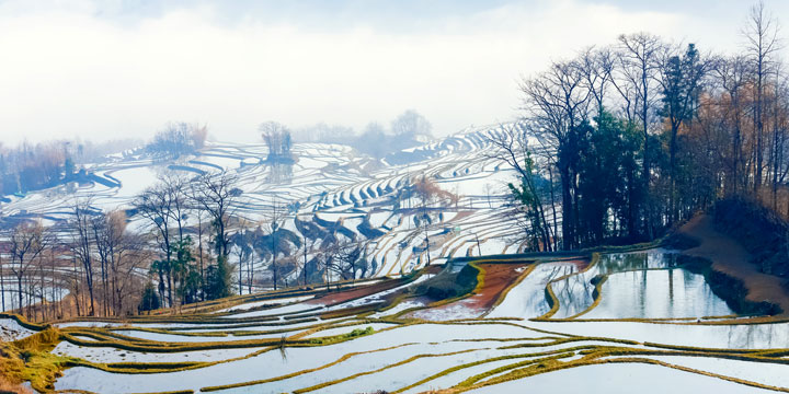 Terrazas de arroz de Yuanyang